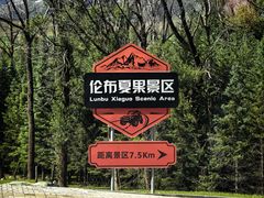 -祁连山草原