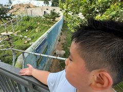 -西霞口神雕山野生动物世界