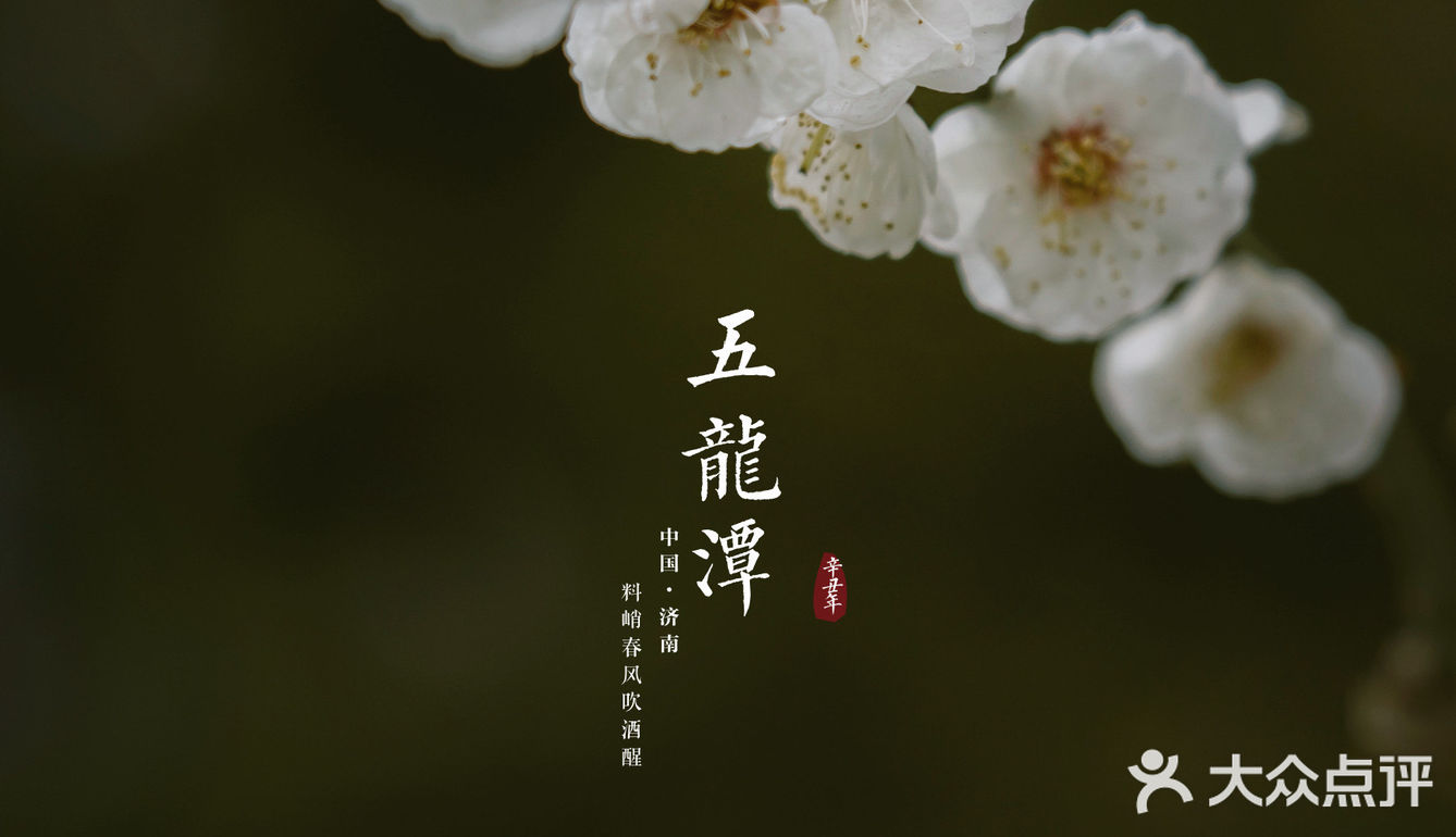 济南三月赏花指南丨五龙潭