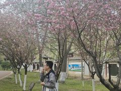 -西安汉城湖景区