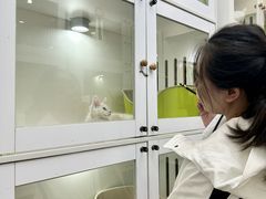 -青奢宠物·青奢猫舍