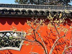 -无锡梅园公园