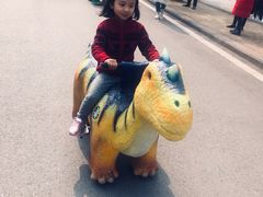 -自贡恐龙博物馆