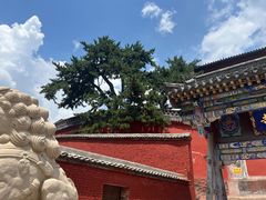 -五台山风景名胜区