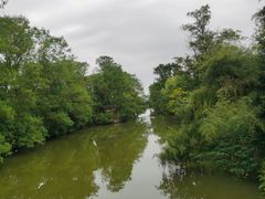 -南汇桃花村