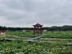 -武汉紫薇都市田园