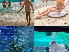 -哈尔滨波塞冬海底世界