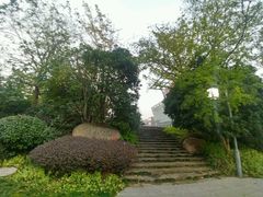 -活水公园