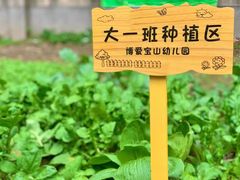 -上海市宝山星佑博爱幼儿园