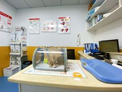 -美联众合动物医院(·中兽医·疑难杂症·严家桥分院)