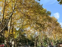 -浙江大学(玉泉校区)