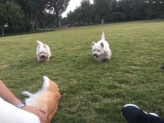 -杭州城北体育公园