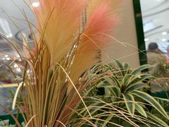 -万达广场(芜湖镜湖店)