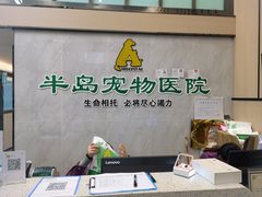 -半岛宠物医院24小时(科华中路店)
