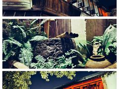 -乌镇景区