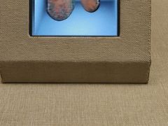 -巴音郭楞蒙古自治州博物馆