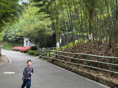-都江堰中华大熊猫苑
