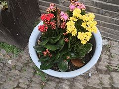 -溪口-滕头旅游景区