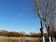 -滨湖塘西河公园