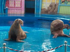 -华夏文旅海洋公园