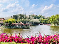 -深圳龙潭公园