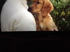 -万达影城(凯旋城广场XLAND店)