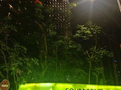 -三亚福朋喜来登酒店·大堂吧