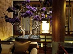 -西安华清御汤酒店