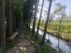 -前小桔亲子创意农场·草莓采摘·露营烧烤