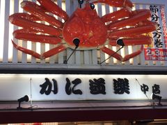 -蟹道乐(道顿堀本店)