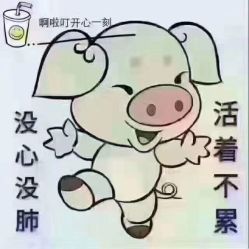 -龙文宝贝上门婴儿理发满月剃胎毛(总店)