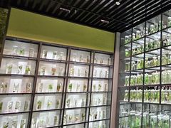 -药王庙(安国市)