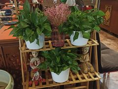 -荷花泰菜(东方新天地店)