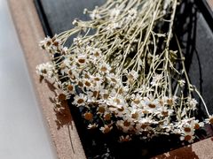 -美丽心情蛋糕(江苏路店)