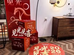 -欧普照明(红星美凯龙浦江店)