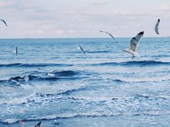 -青岛第二海水浴场