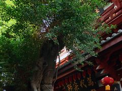 -叩齿古寺