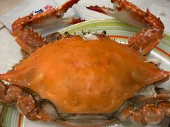-开海·红岛海鲜虾水饺(石老人店)