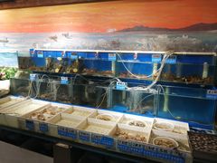 水产区-77号·蒸海鲜青岛菜(积米崖店)