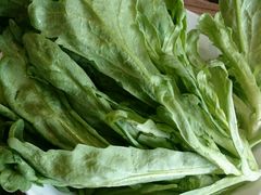 茼蒿-小牛海记潮汕牛肉店(永定路店)