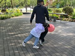 -天鹅湖体育公园