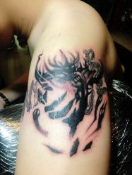 -晓乙刺青TATTOO