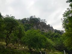 -广州市石门国家森林公园