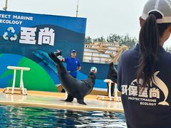 -秦皇岛乐岛海洋王国