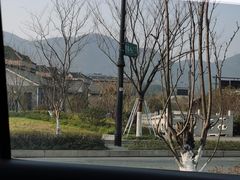 -杭州半山国家森林公园