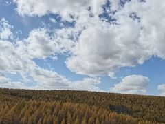 -塞罕坝国家级自然保护区