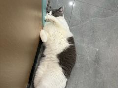 -贝利宠物医院·骨科·眼科·肿瘤转诊中心(南坪诊疗中心)