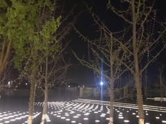 -南京眼步行桥
