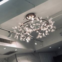 -潘多拉Hairsalon