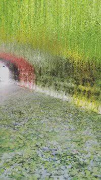 -天眼洞·花岭风景区